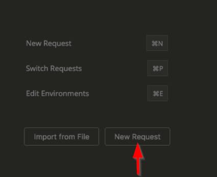 WooCommerce REST APIs - Connecting API Client